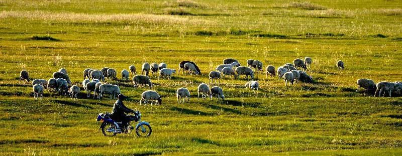 Scenery of Inner Mongolia's Hulun Buir