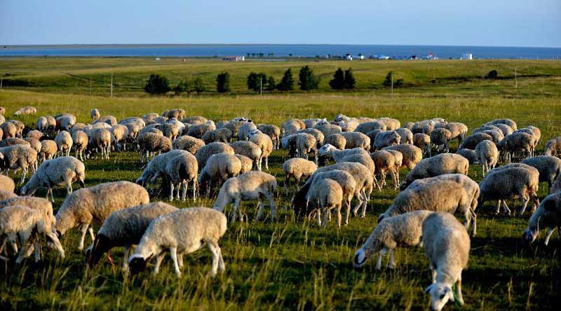 Scenery of Inner Mongolia's Hulun Buir