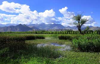 Scenery of Inner Mongolia's Hulun Buir