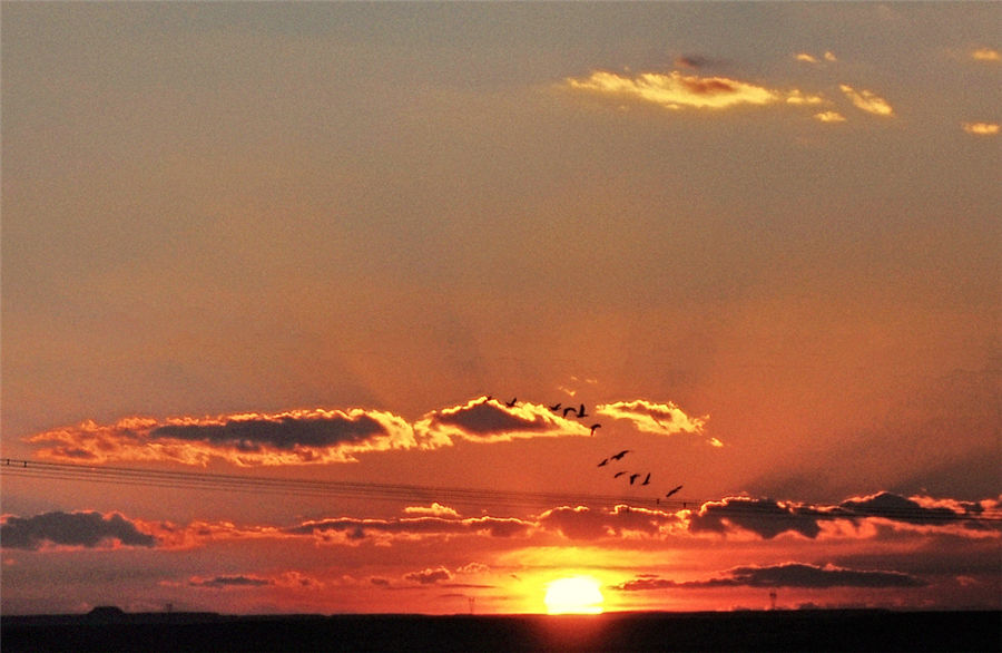 Autumn scenery of Xilinguole Grassland in Inner Mongolia