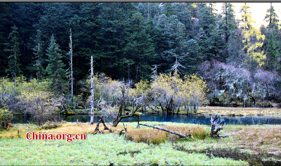 Enchanting autumn scenery of Jiuzhaigou