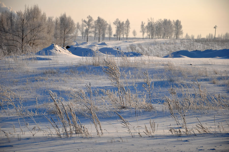 Rime scenery in Hulun Buir Prairie