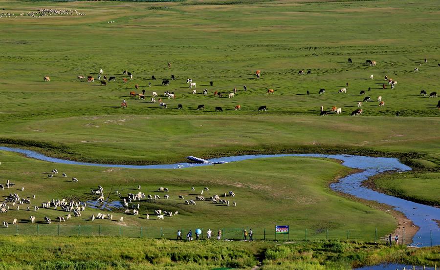 Scenery of fields in Hebei's Zhangjiakou