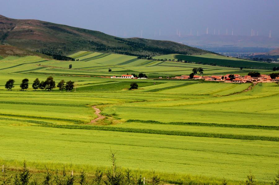 Scenery of fields in Hebei's Zhangjiakou