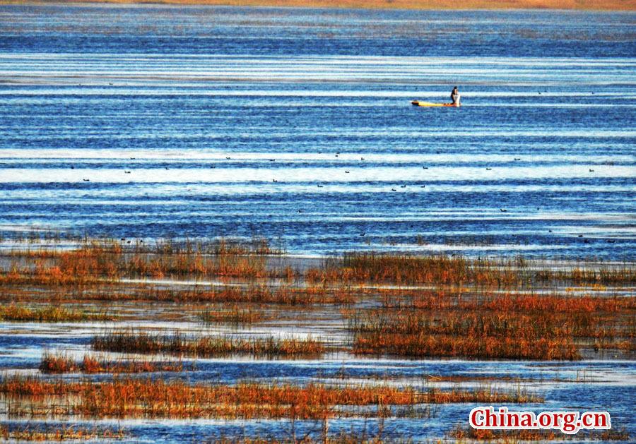 Amazing autumn scenery of Caohai Lake