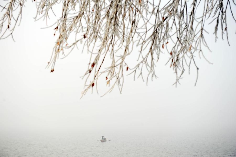 A frosty treat in the rime-covered landscape