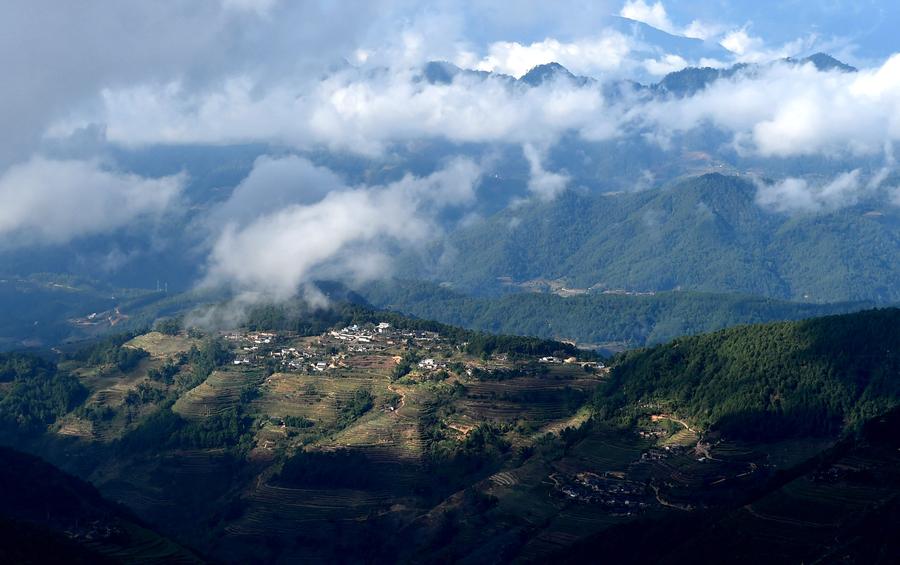 Winter scenery of the Ailao and Wuliang Mountain Nature Reserve