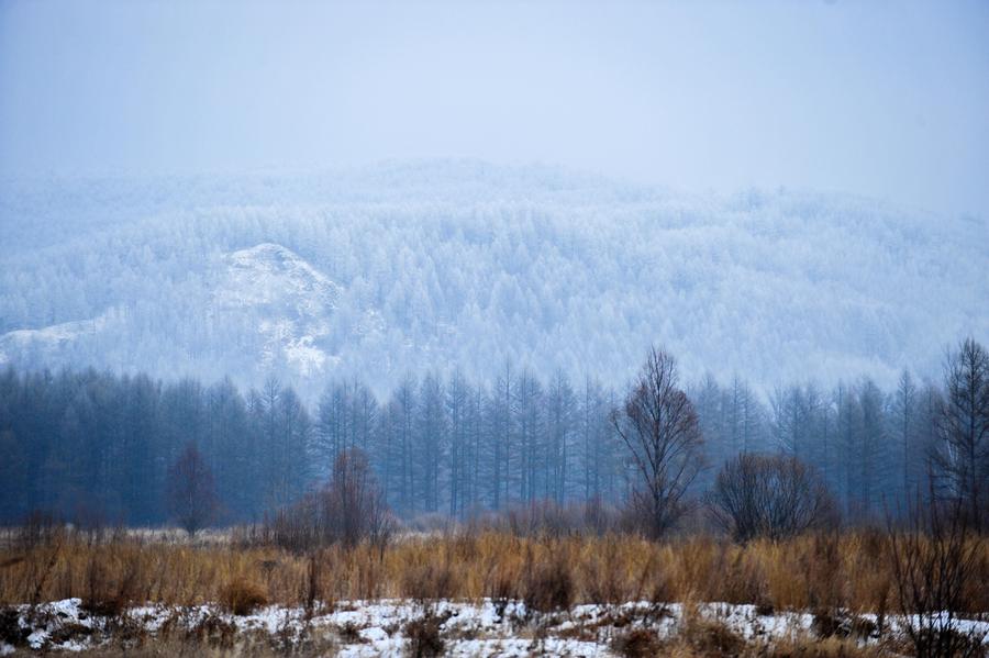 The Greater Khingan range in winter