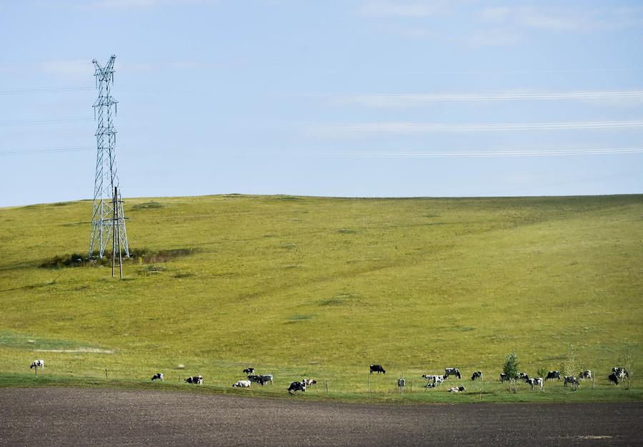 Grassland of Hulun Buir in Inner Mongolia