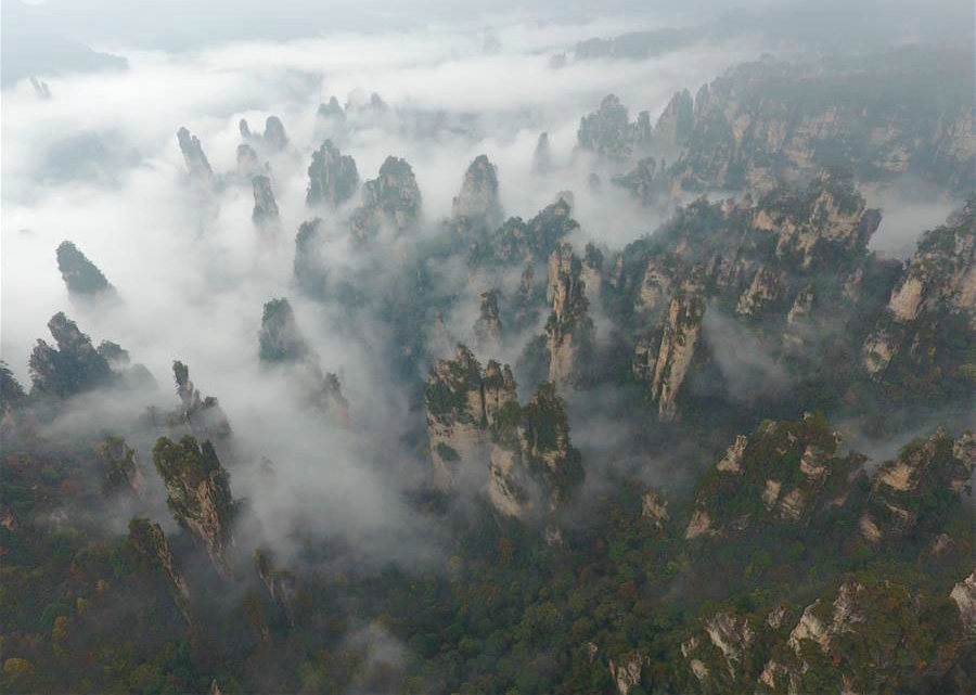 Scenery of sea of clouds in Zhangjiajie