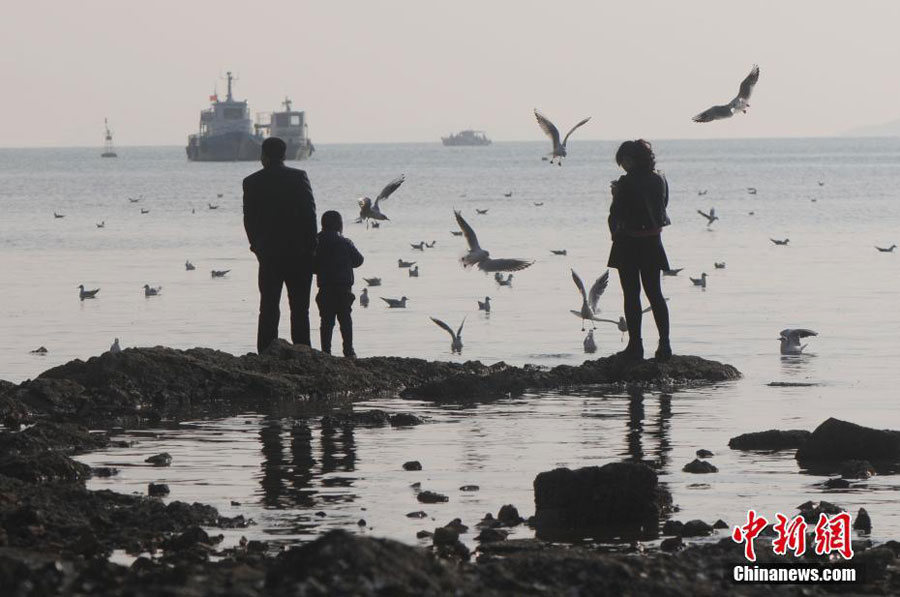 Best season for bird-watching in Qingdao