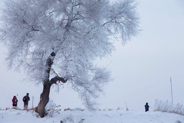 Tourists enjoy fairytale-like Wusong Island