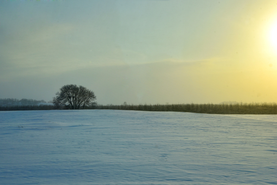 Breathtaking scenery of Bashang Grassland in winter