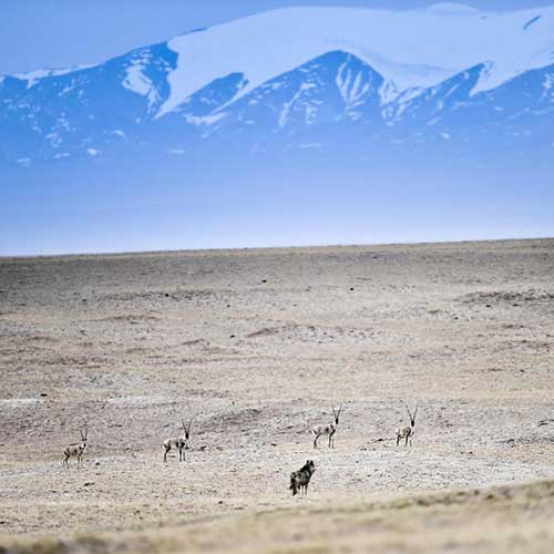 China to invest 1 bln yuan in Sanjiangyuan national park construction