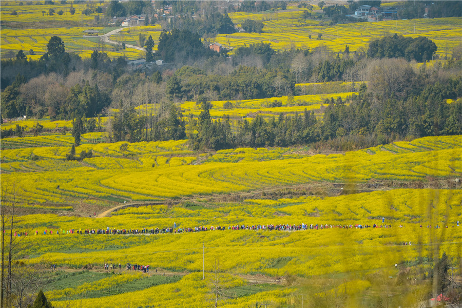 Spring flower festival brightens Yunnan village