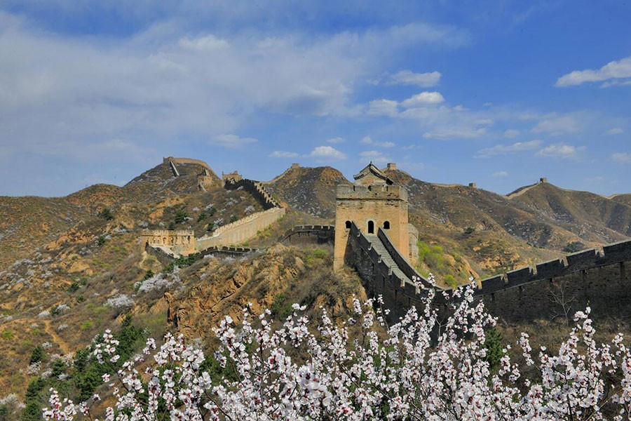 5th Jinshanling Apricot Flower Festival kicks off in Chengde