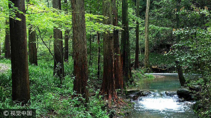 7 best water escapes during China's summer heat