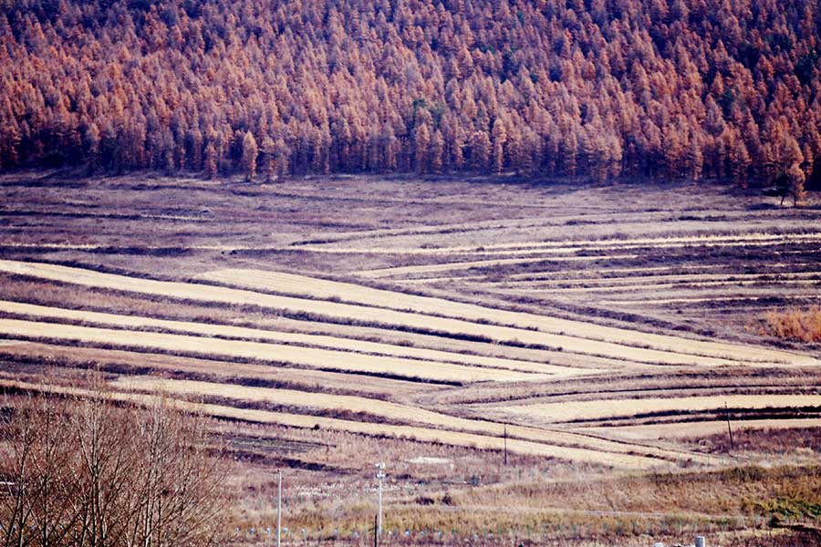 Late autumn scenery in Zhangjiankou, Hebei province