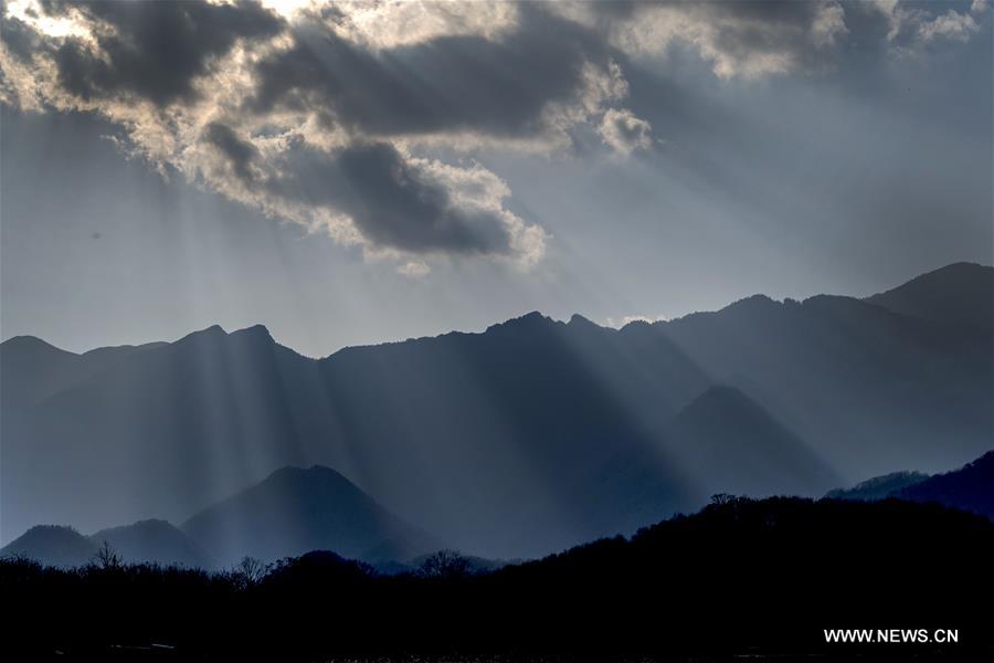 Autumn scenery of Shennongjia Forestry District in Hubei