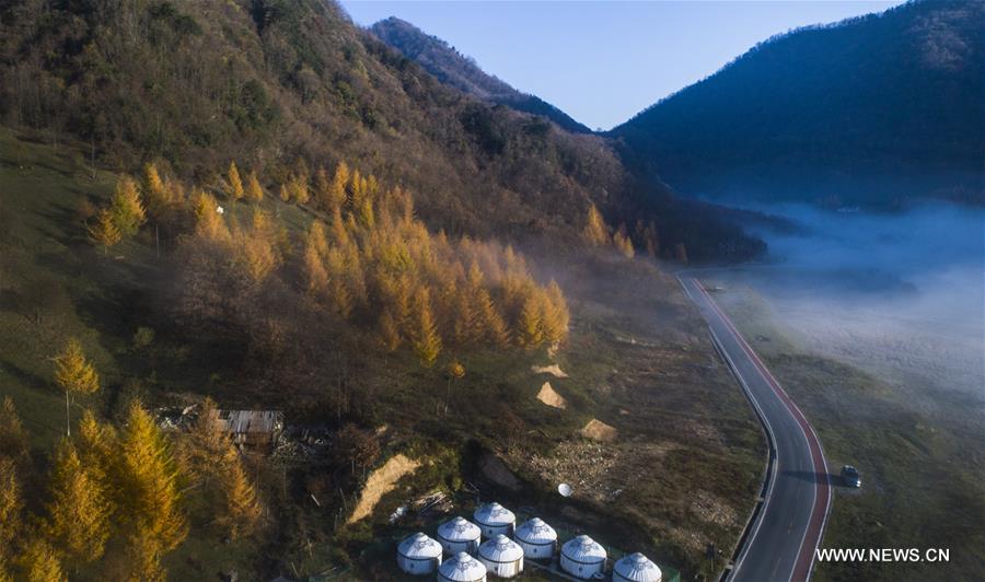 Autumn scenery of Shennongjia Forestry District in Hubei