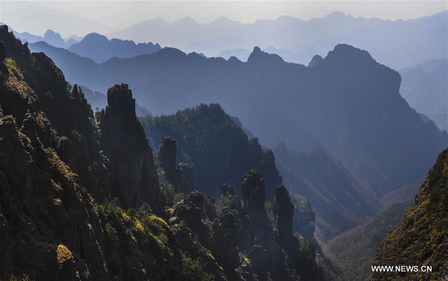 Autumn scenery of Shennongjia Forestry District in Hubei