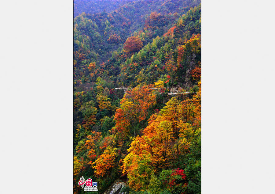 Autumn scenery of Guangwu Mountain in SW China