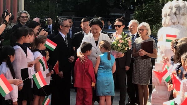 Hungarian-Chinese school opens doors to language and culture