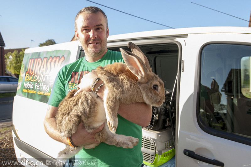 Animal crackers - family shares home with 145 pets