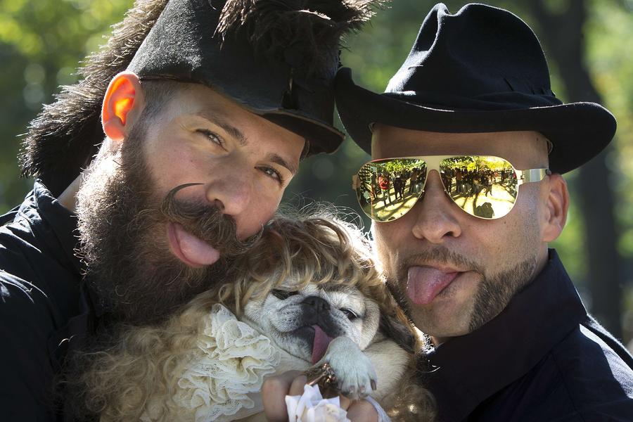 Halloween Dog Parade kicks off in New York