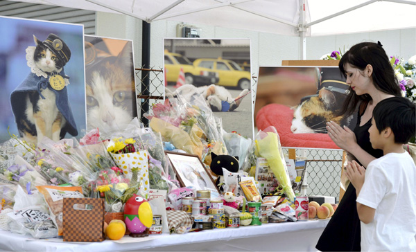 Japan mourns passing of Tama, the cat stationmaster