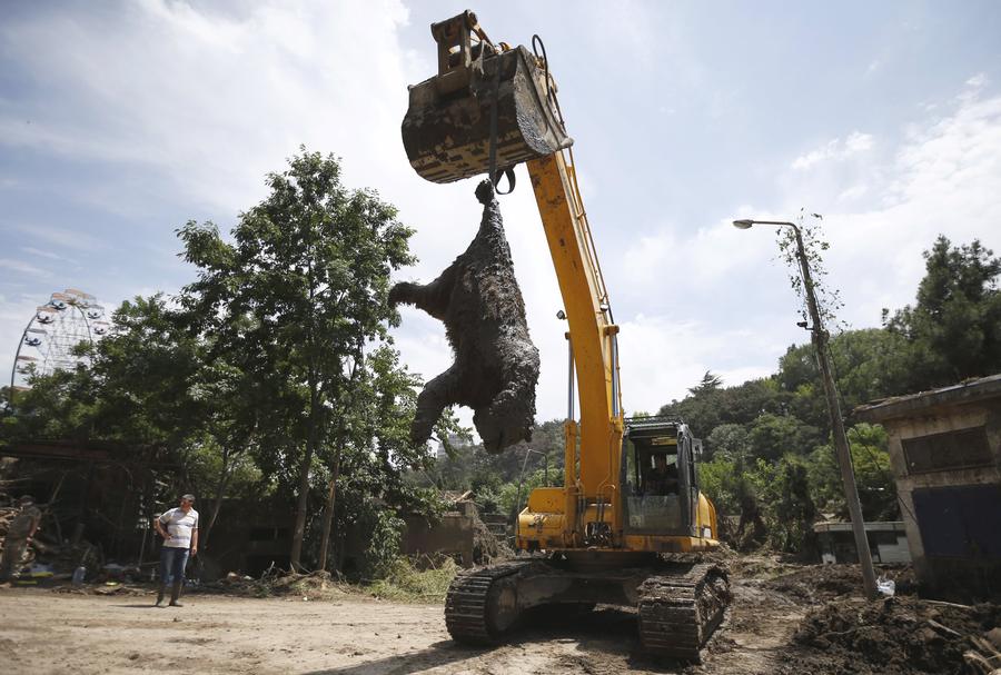 Yearender 2015: Natural disasters