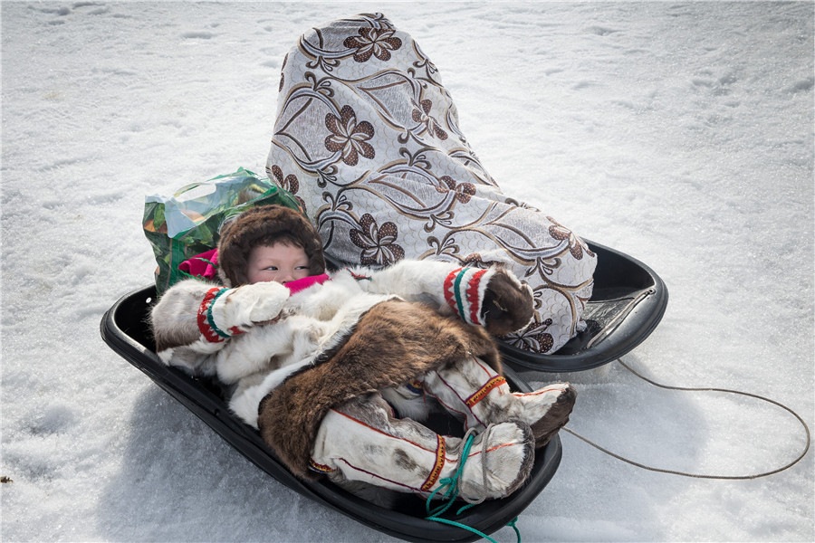 Reindeer Herders Day celebrated in northern Russia