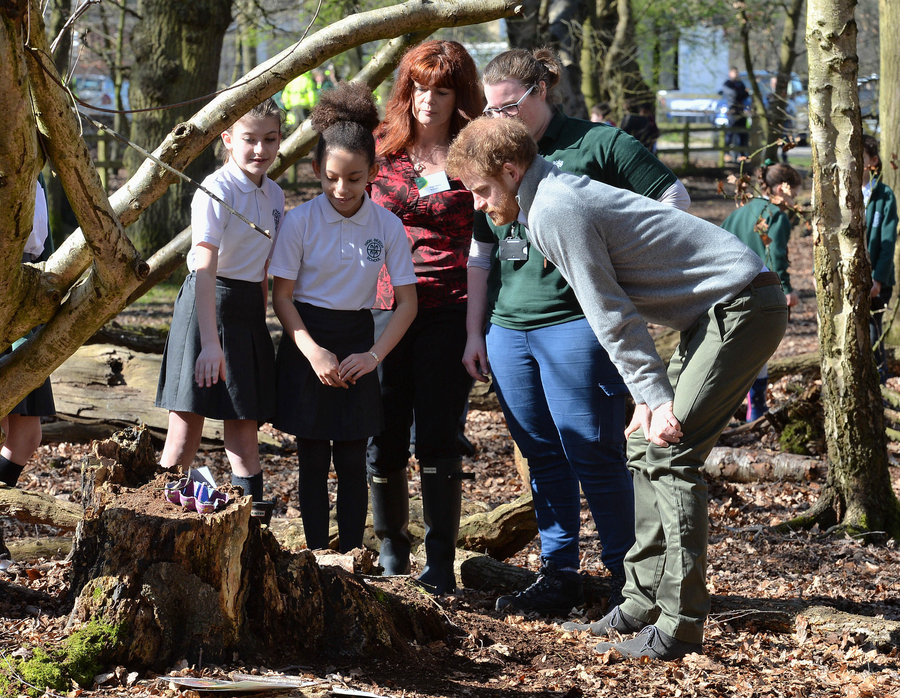 Prince Harry helps students grow 'Queen's canopy'