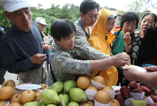 北京大興向國慶市場供應600萬公斤有機梨[圖]